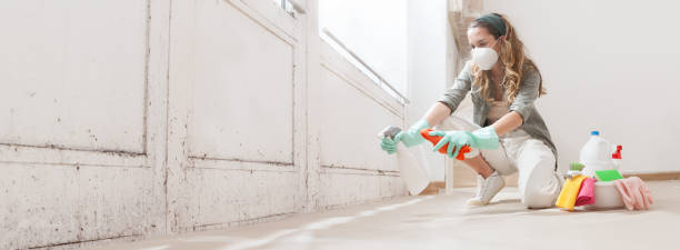 Best Forensic Mold Investigation  in East Lexington, VA